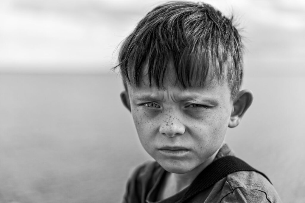 pexels-artur-skoniecki-272612-13047361-1024×683